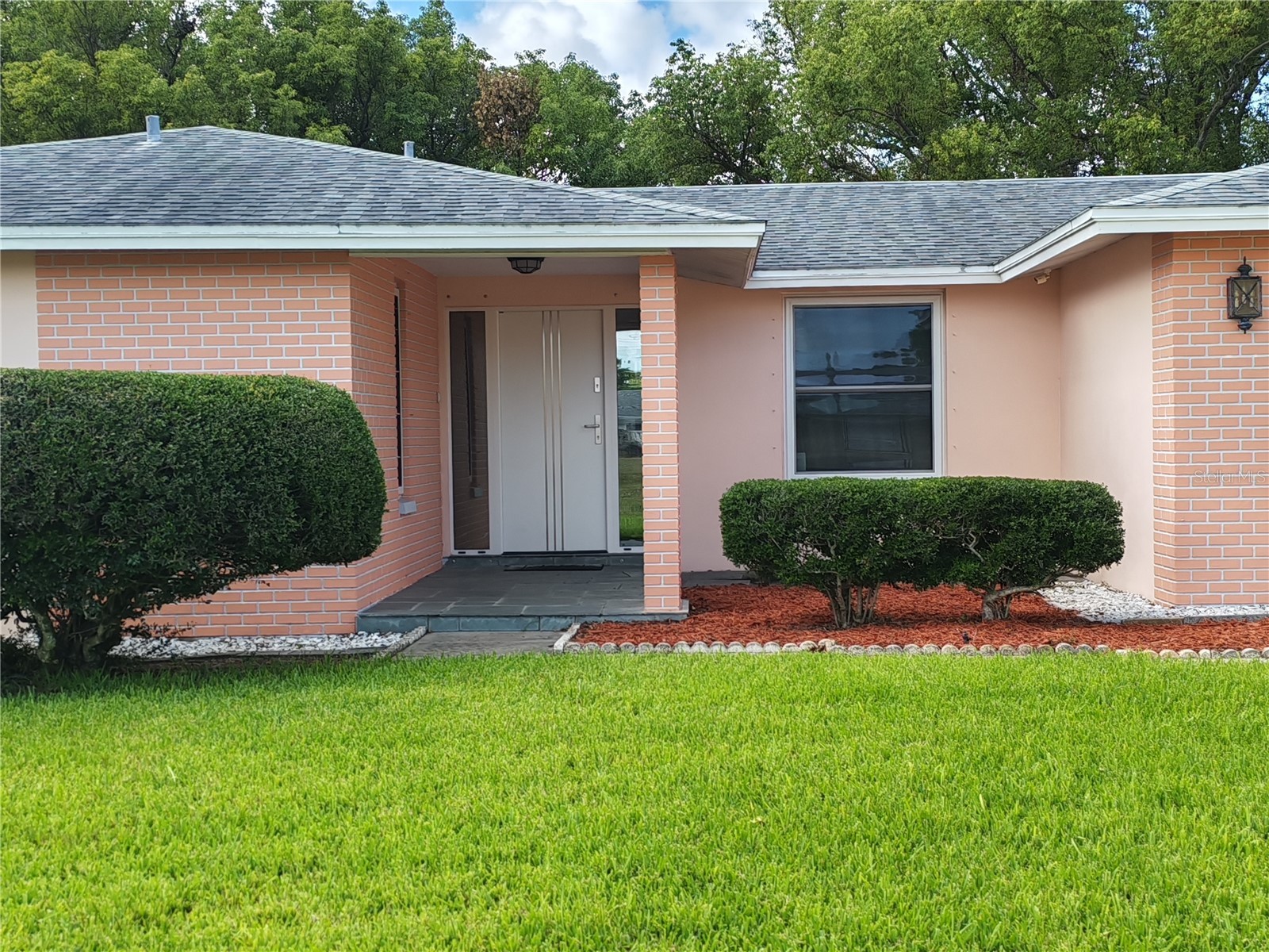 7708 Rosewood Drive Port Richey FL 34668 A4697711 image2