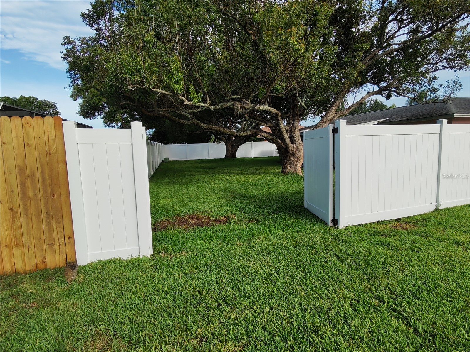 7708 Rosewood Drive Port Richey FL 34668 A4697711 image8