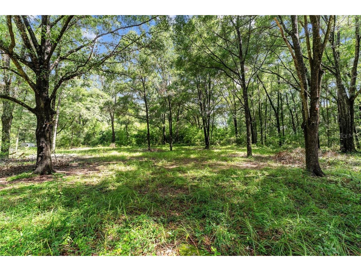 7708 SW 122nd Street #A Gainesville FL 32608 OM706263 image26