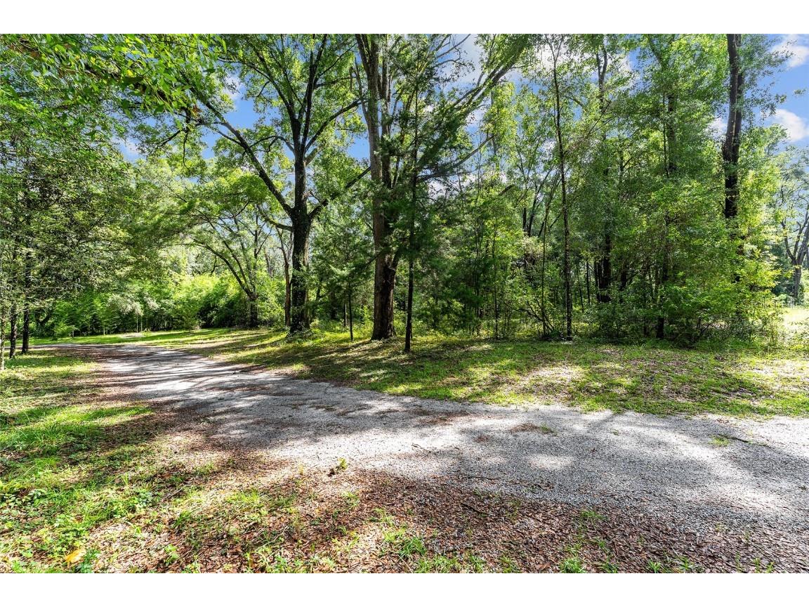 7708 SW 122nd Street #A Gainesville FL 32608 OM706263 image28