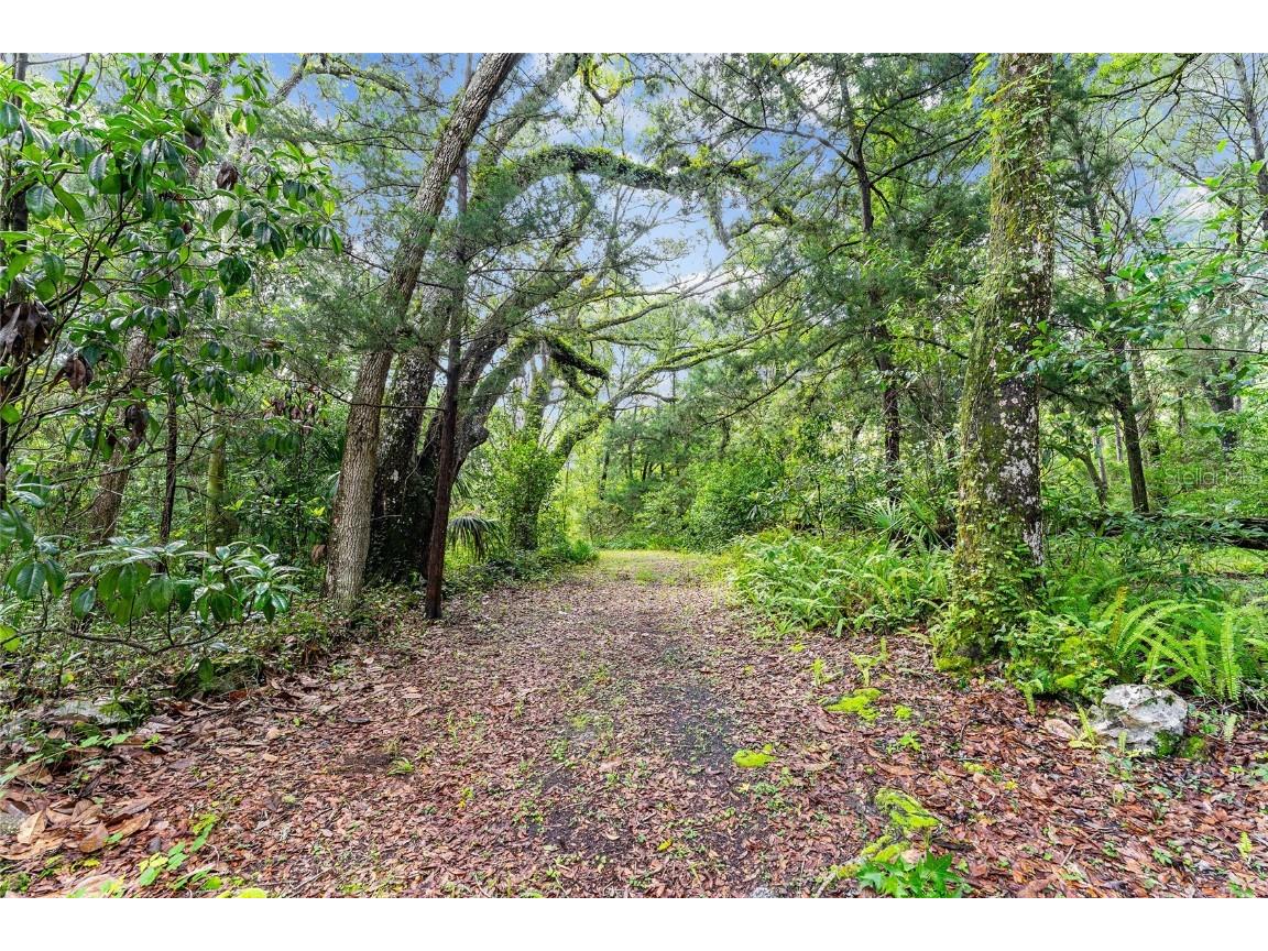 7708 SW 122nd Street #A Gainesville FL 32608 OM706263 image30