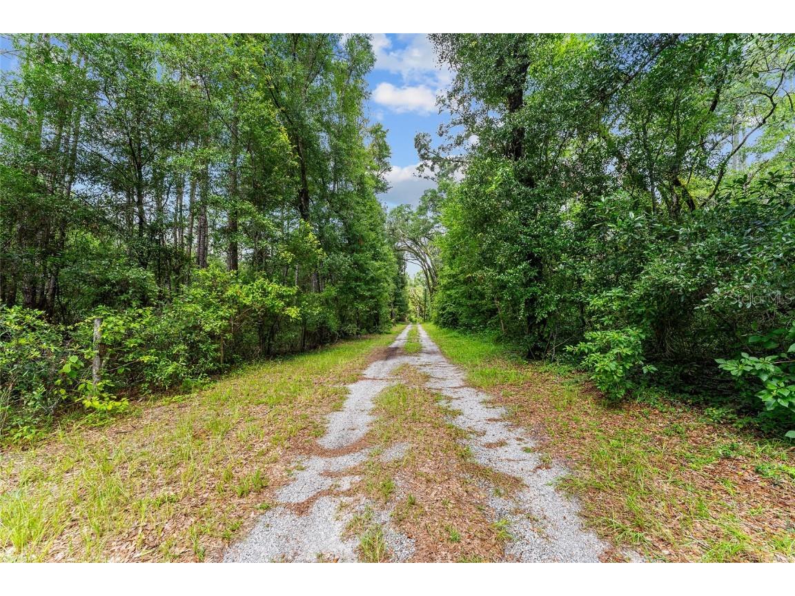 7708 SW 122nd Street #A Gainesville FL 32608 OM706263 image6