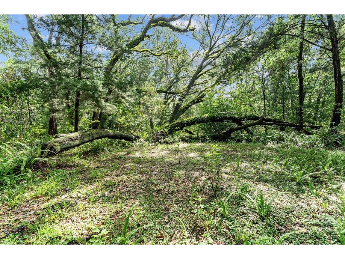 7708 SW 122nd Street #B Gainesville FL 32608 OM705571 image30