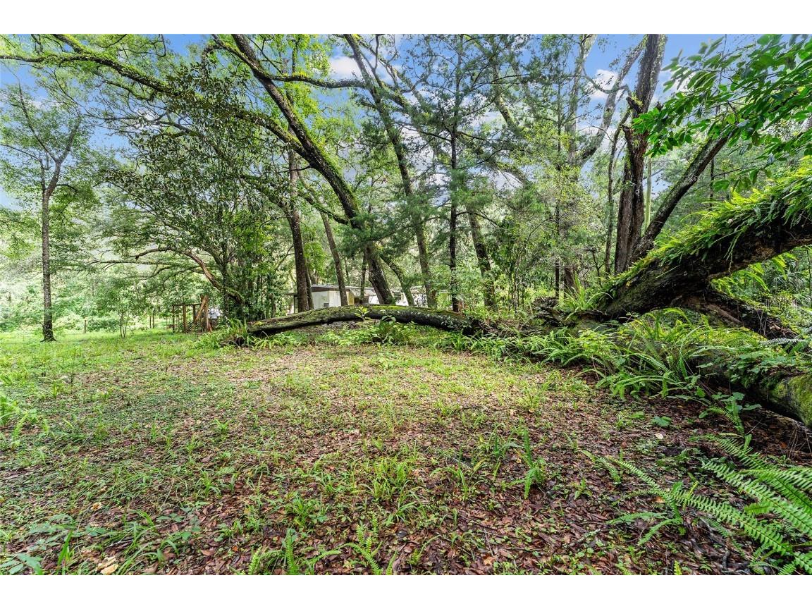 7708 SW 122nd Street #B Gainesville FL 32608 OM705571 image31