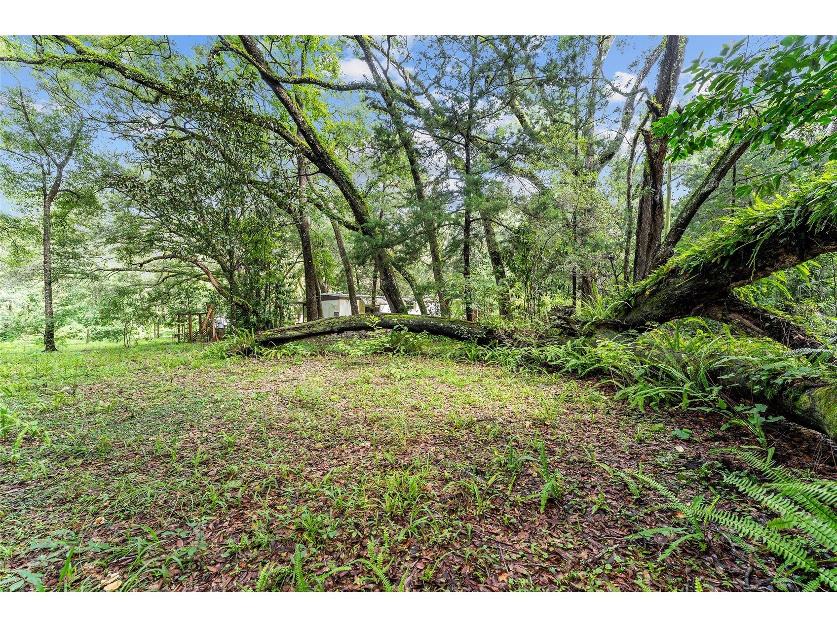 7708 SW 122nd Street #B Gainesville FL 32608 OM705571 image33