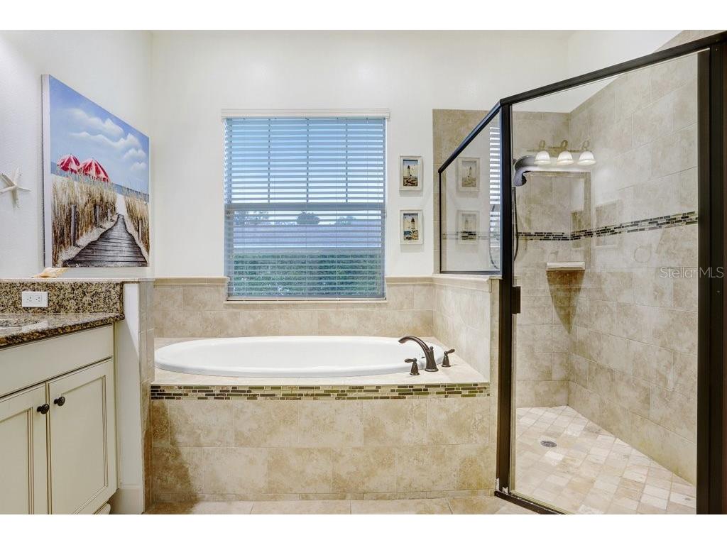 7709 Kenia Meadows Lane Odessa FL 33556 TB8465450 image19