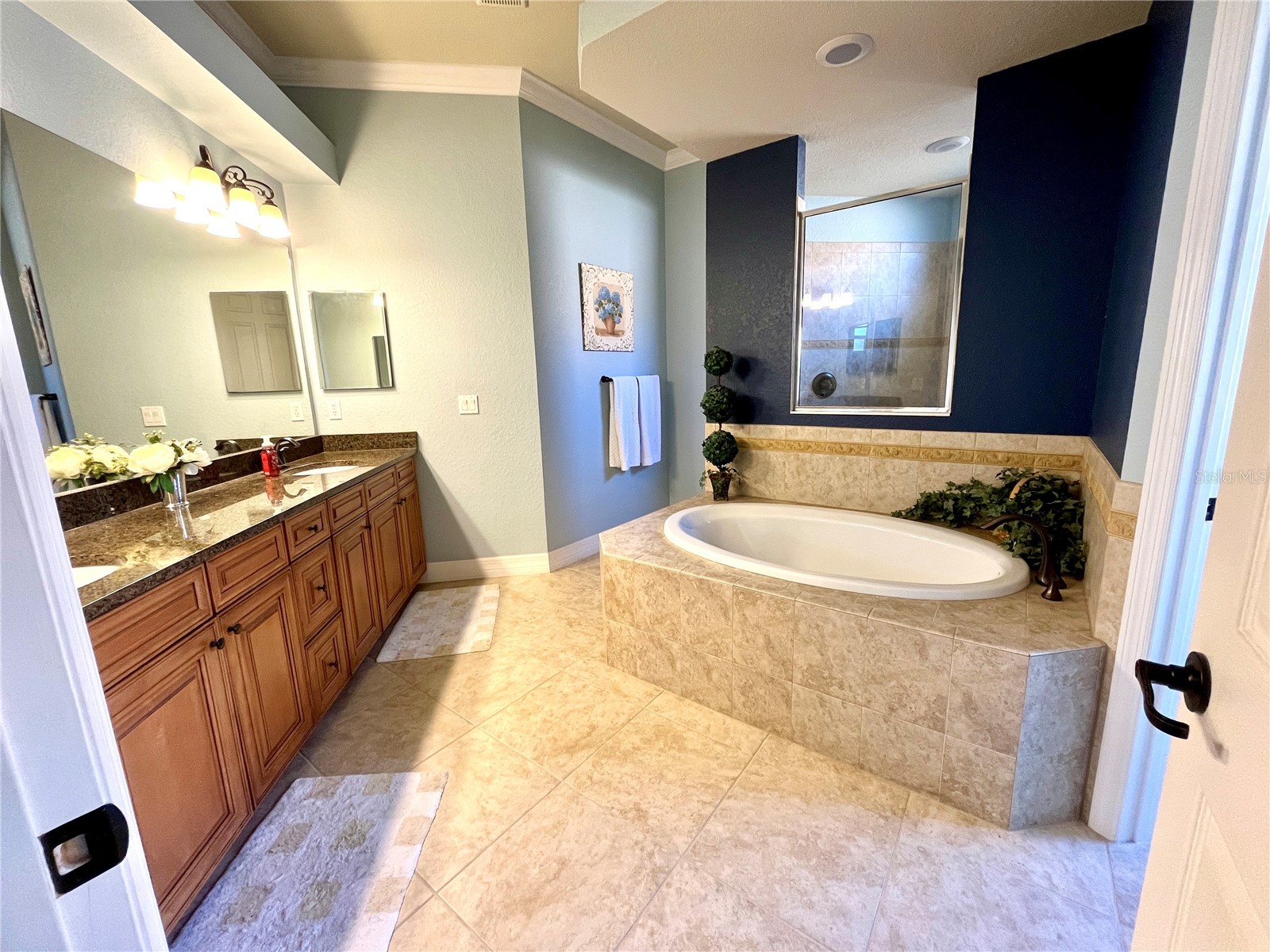 7709 River Preserve Drive Bradenton FL 34212 A4682716 image24