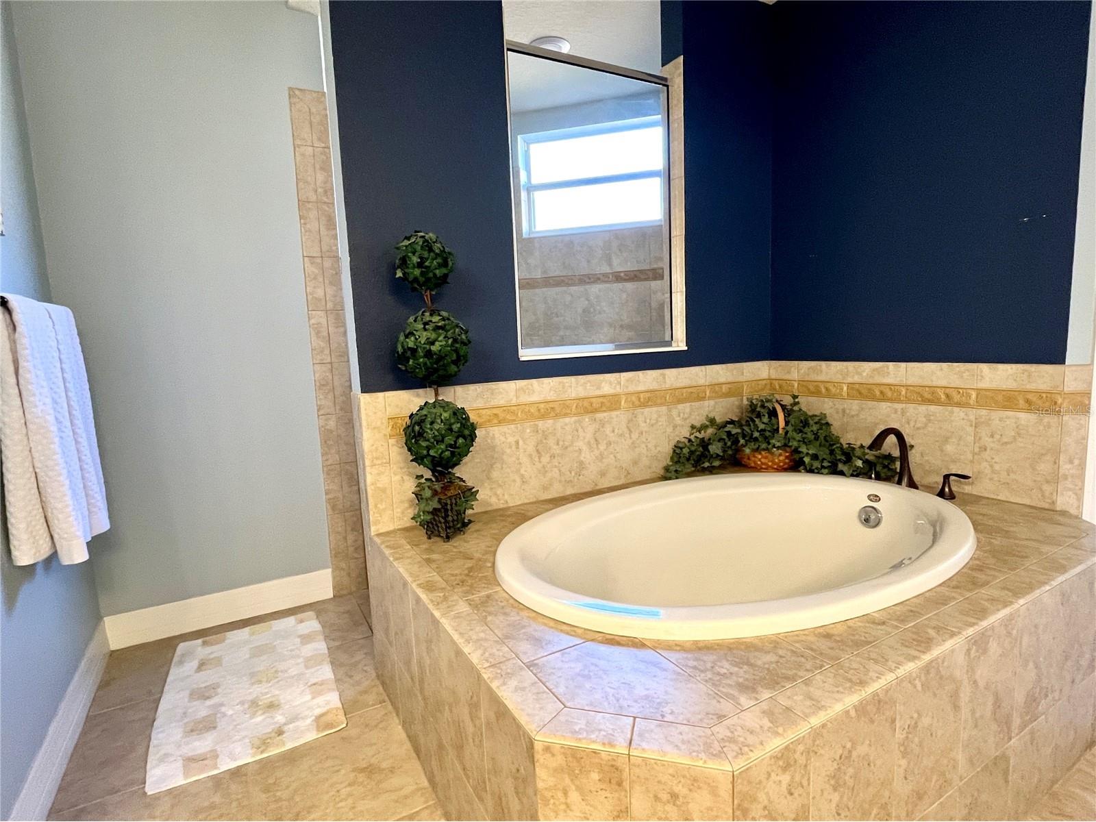 7709 River Preserve Drive Bradenton FL 34212 A4682716 image25