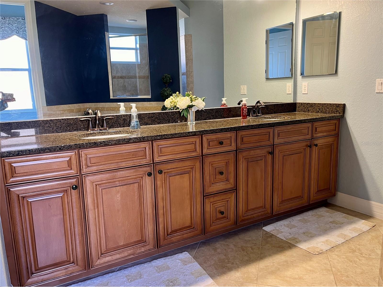 7709 River Preserve Drive Bradenton FL 34212 A4682716 image26