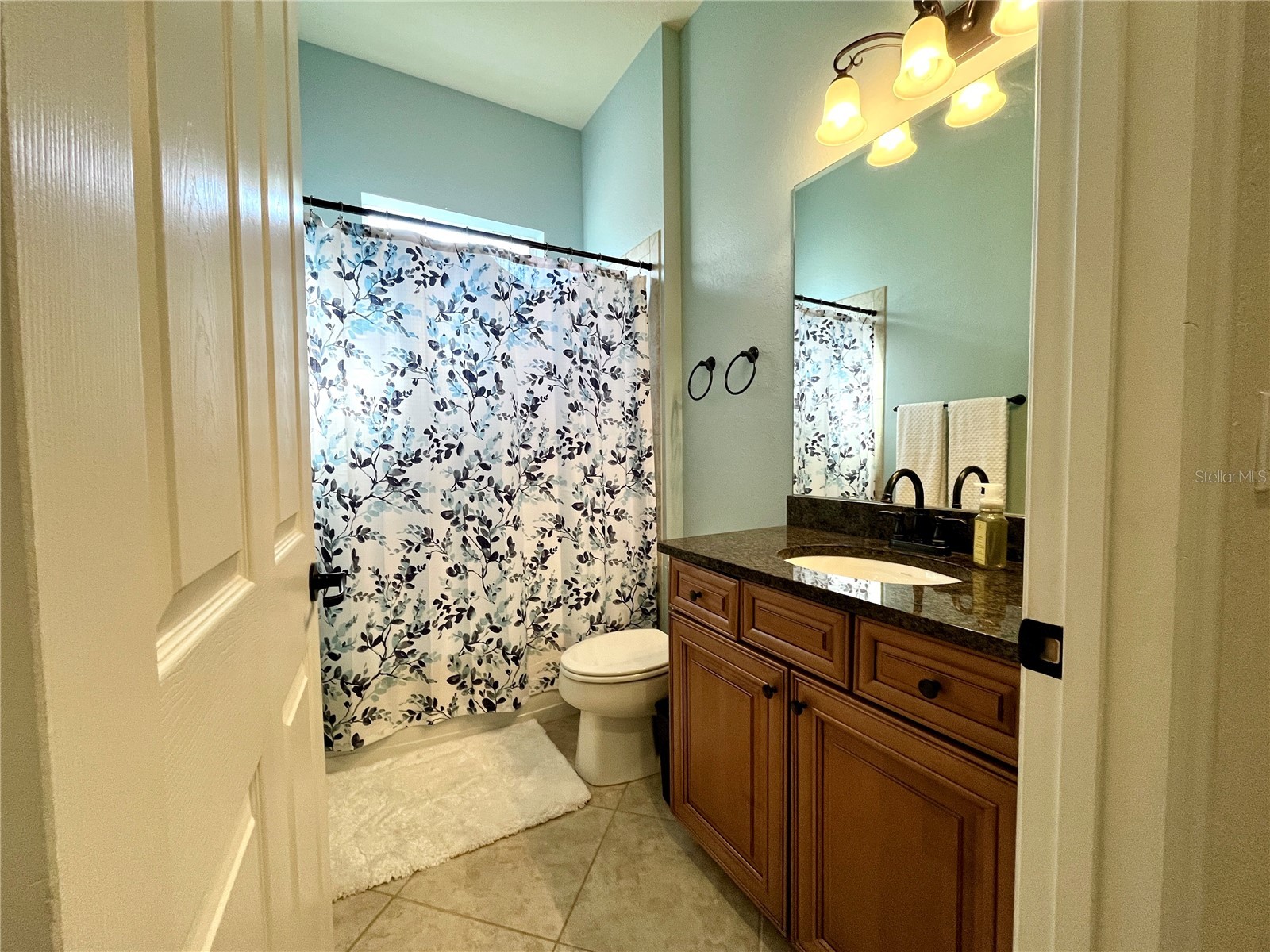 7709 River Preserve Drive Bradenton FL 34212 A4682716 image28