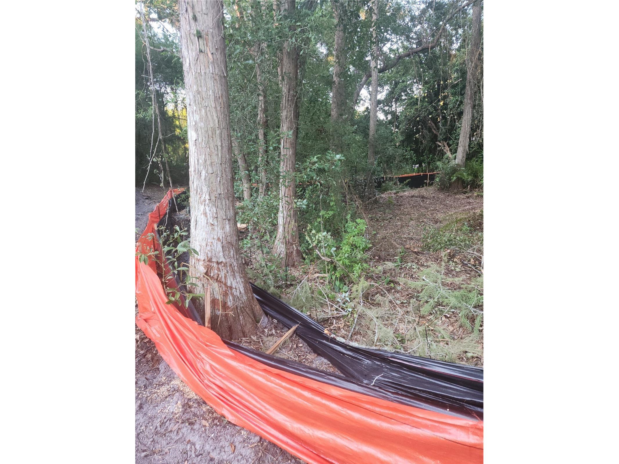7709 Windward Way Odessa FL 33556 TB8512739 image12