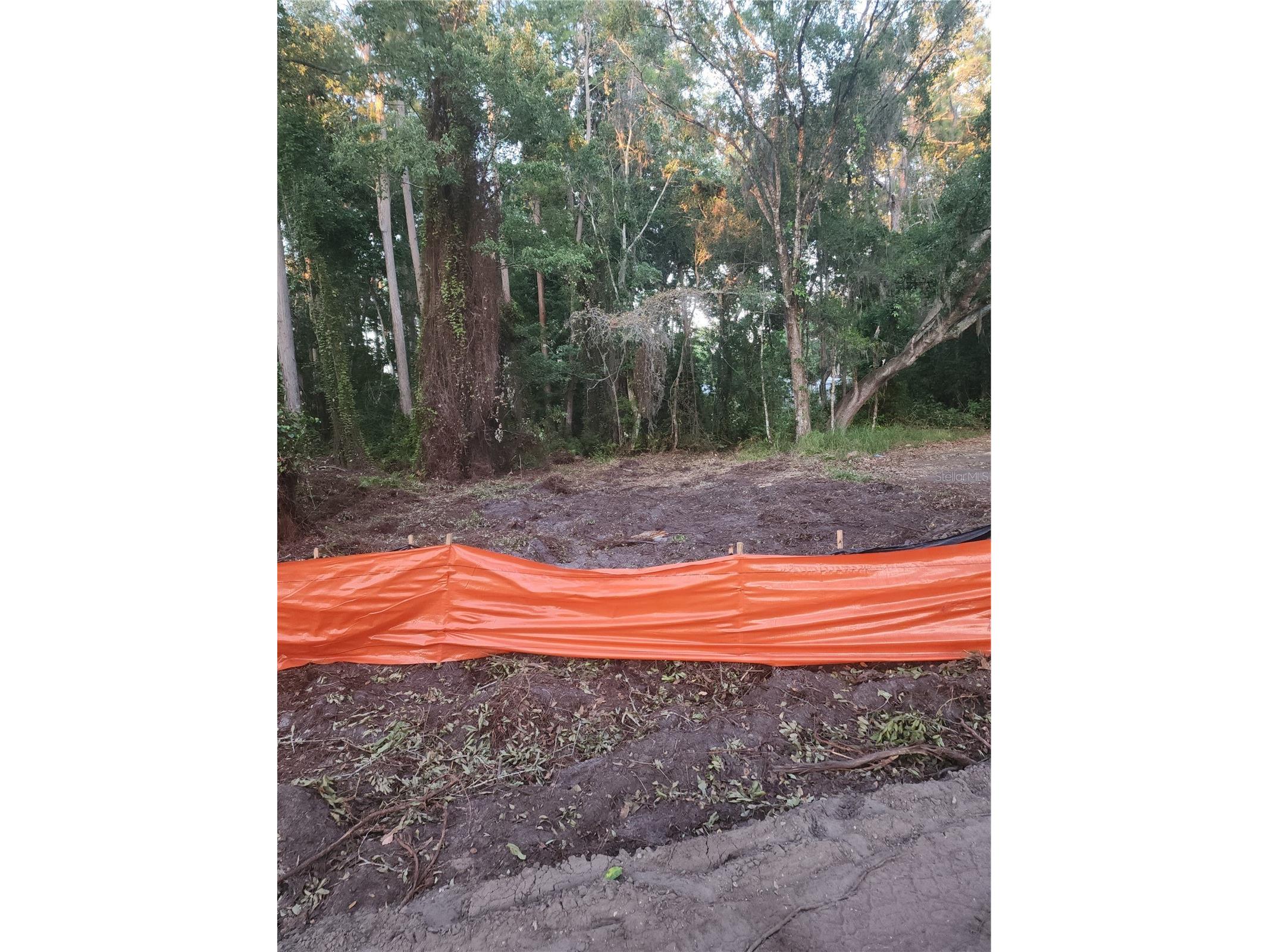 7709 Windward Way Odessa FL 33556 TB8512739 image14