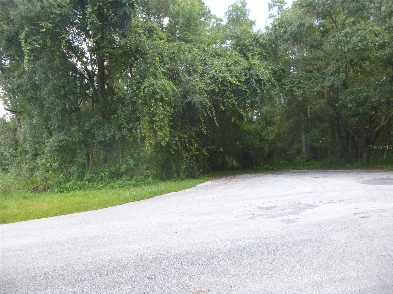 7709 Windward Way Odessa FL 33556 TB8512739 image16
