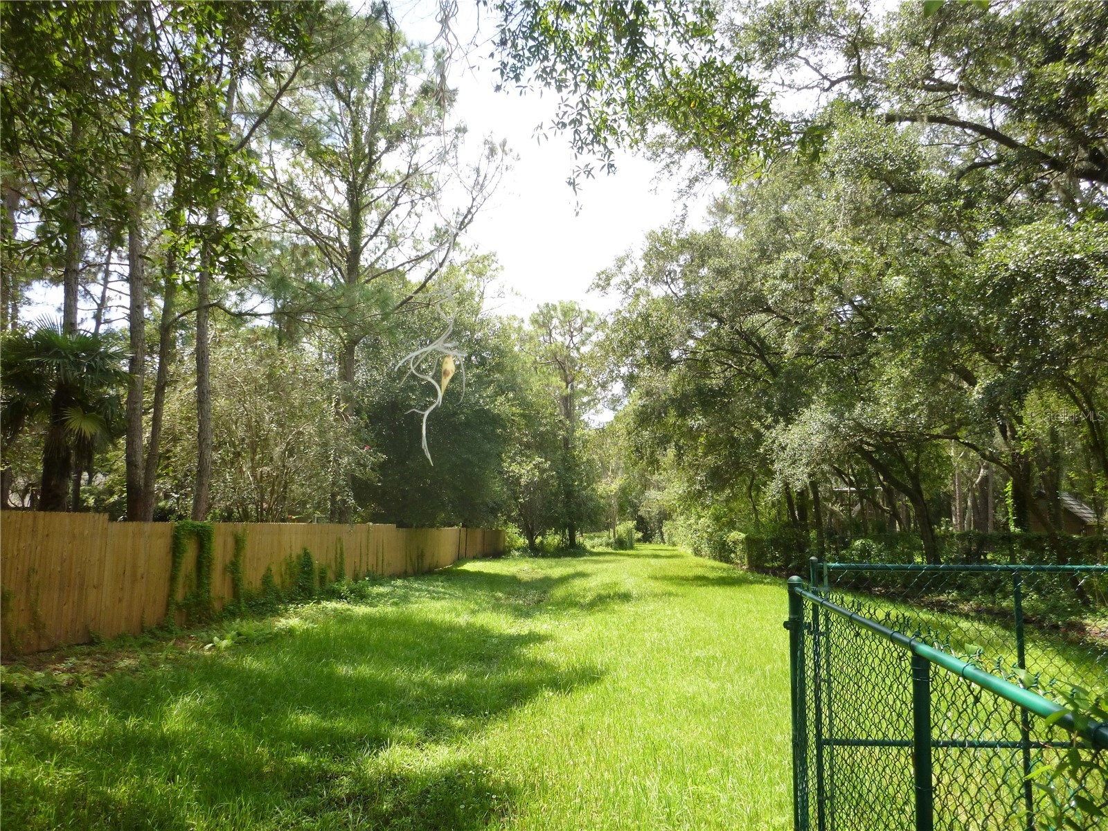 7709 Windward Way Odessa FL 33556 TB8512739 image23