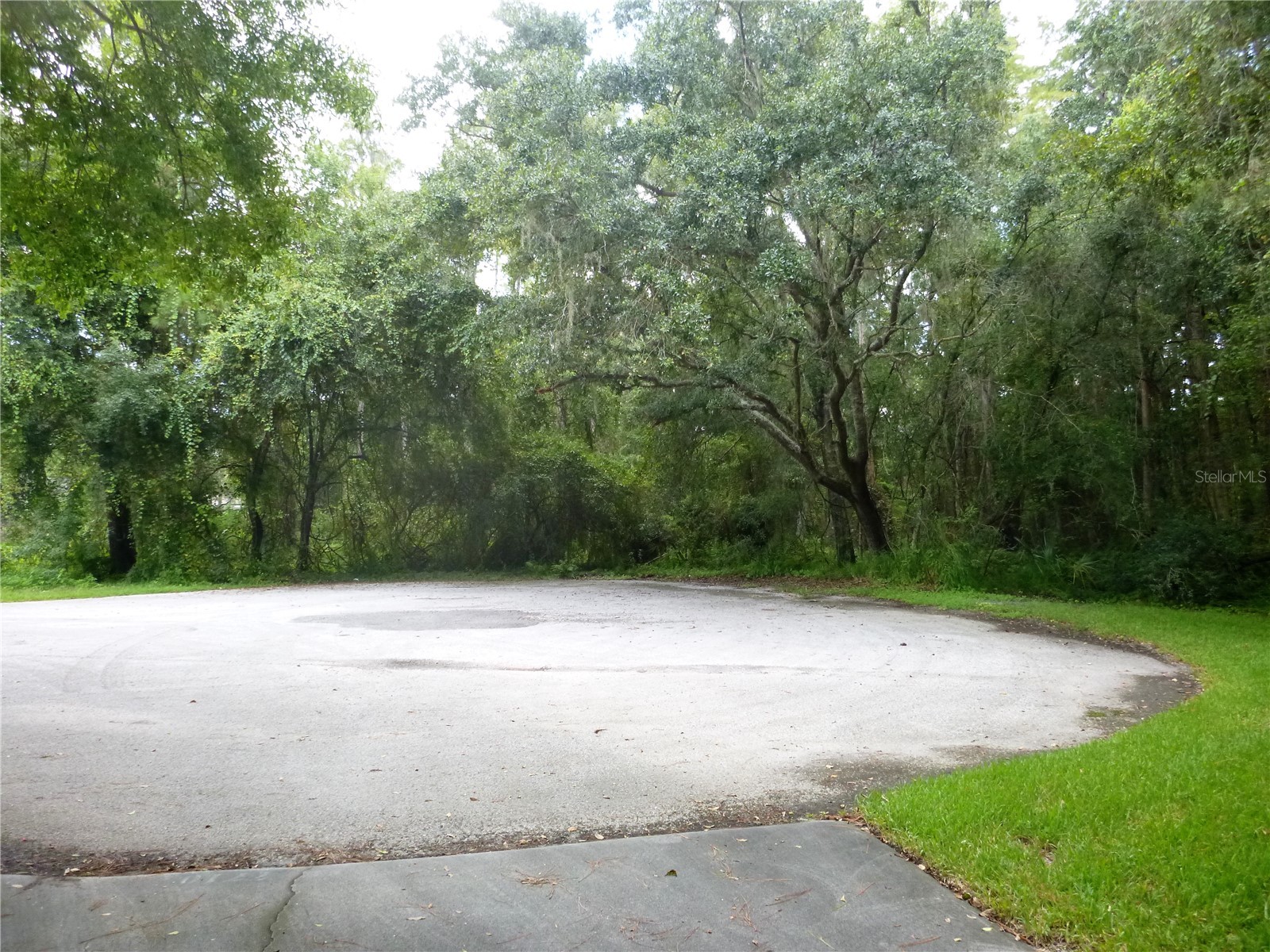 7709 Windward Way Odessa FL 33556 TB8512739 image3