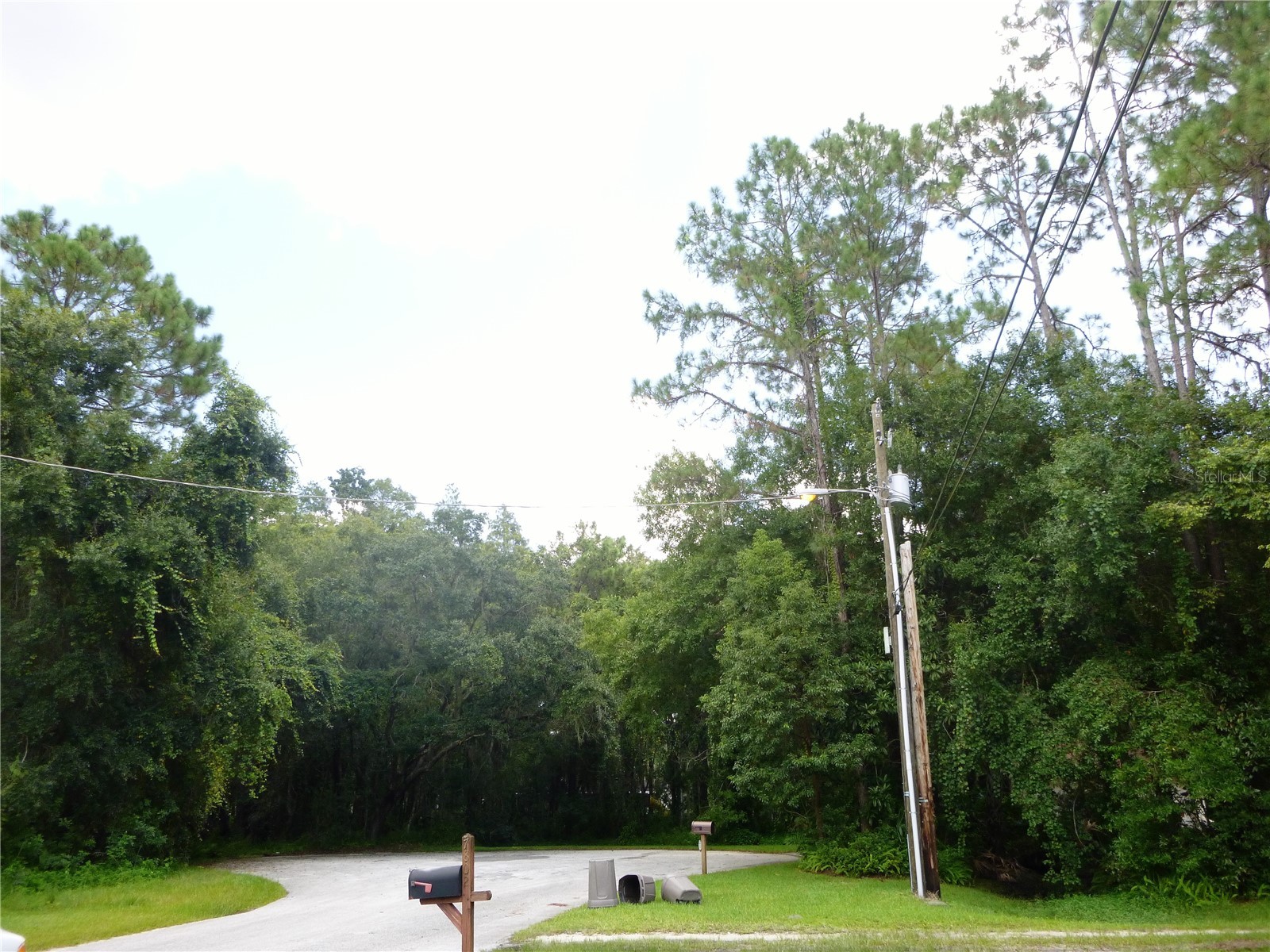 7709 Windward Way Odessa FL 33556 TB8512739 image4