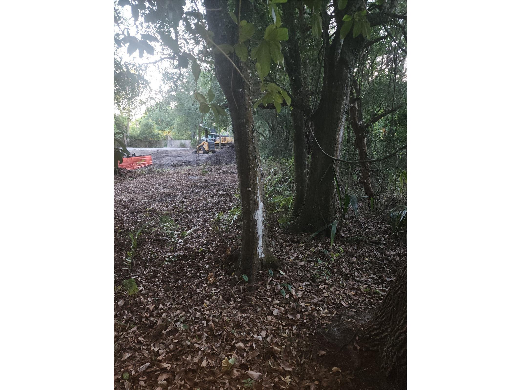 7709 Windward Way Odessa FL 33556 TB8512739 image8
