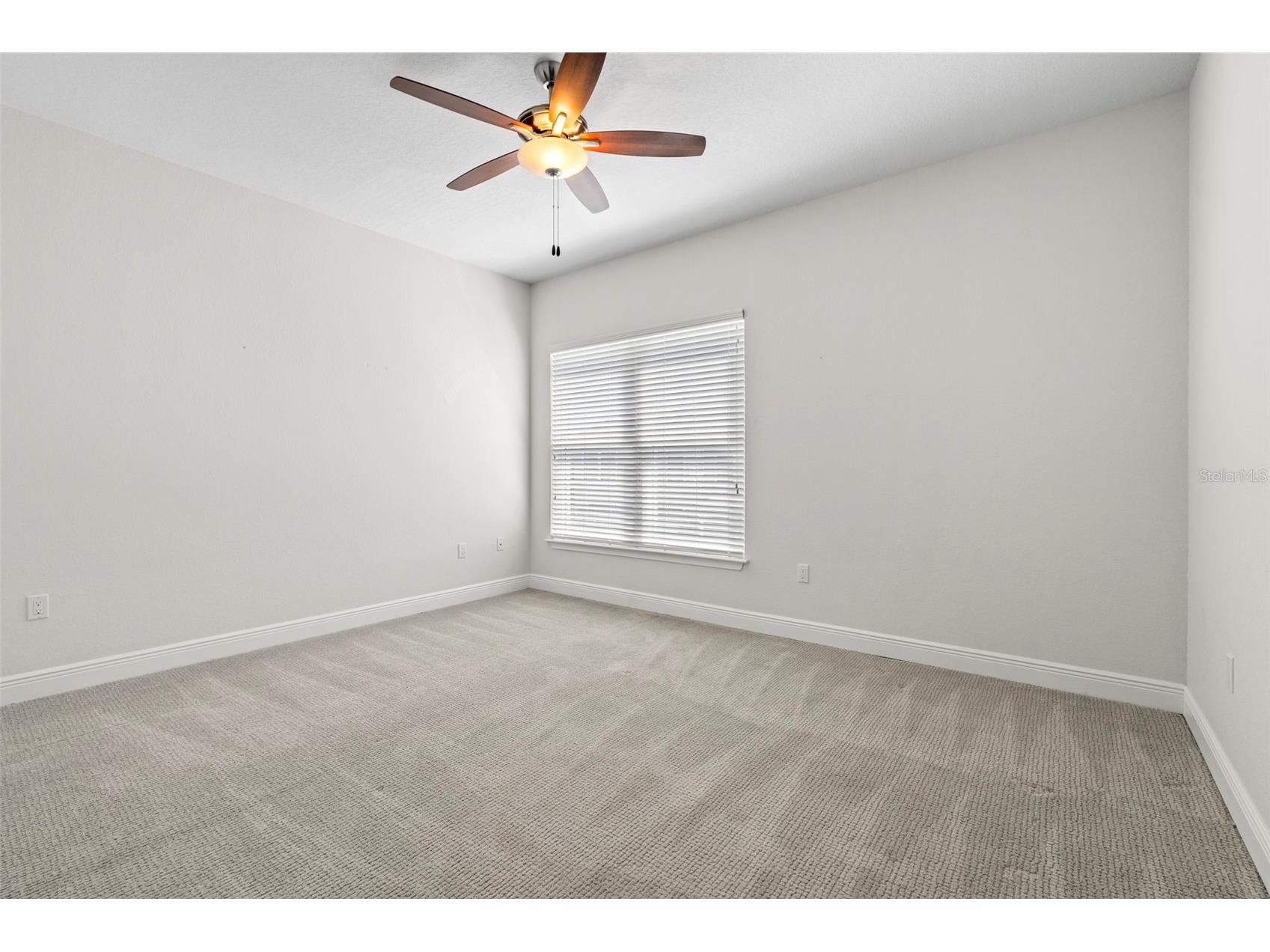 771 Date Palm Lane Saint Petersburg FL 33707 TB8491037 image31