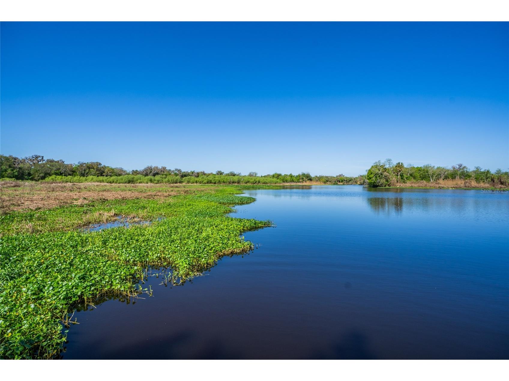771 Lazio Circle Debary FL 32713 NS1087604 image63