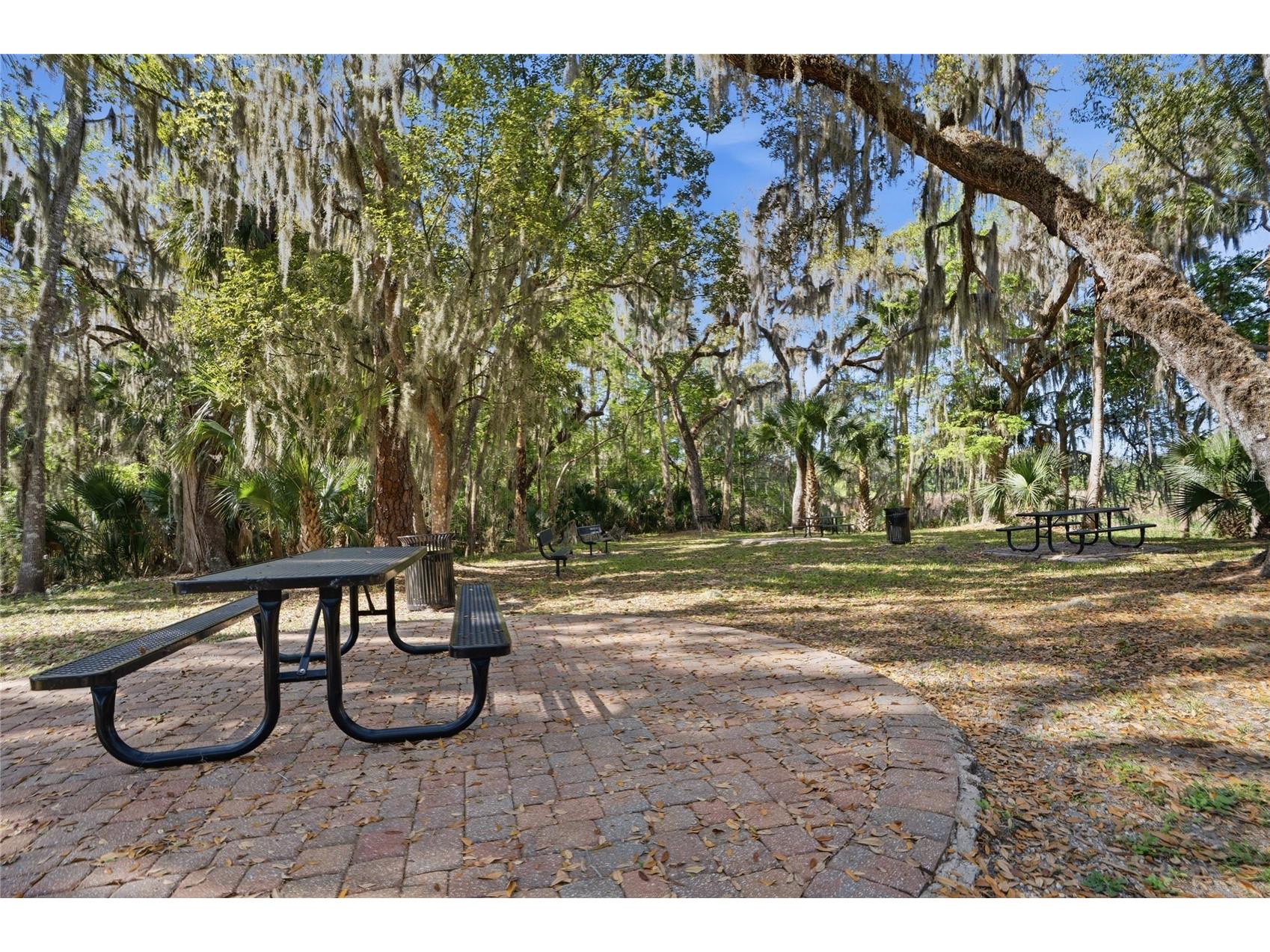 771 Lazio Circle Debary FL 32713 NS1087604 image64