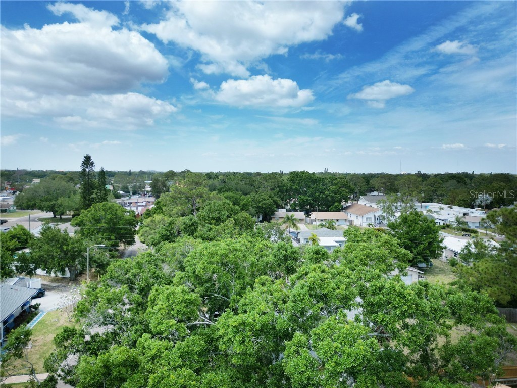 771 Murphy Avenue N Saint Petersburg FL 33703 TB8450623 image22