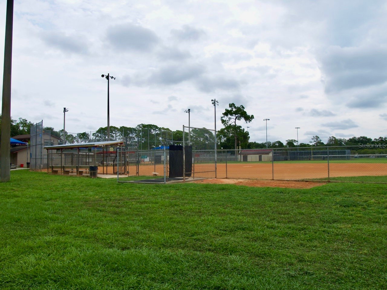 771 Murphy Avenue N Saint Petersburg FL 33703 TB8450623 image39