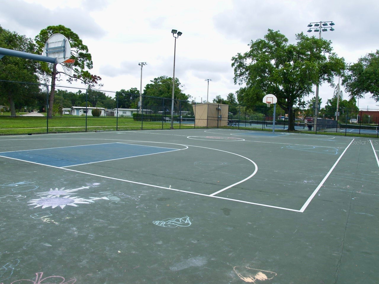 771 Murphy Avenue N Saint Petersburg FL 33703 TB8450623 image41