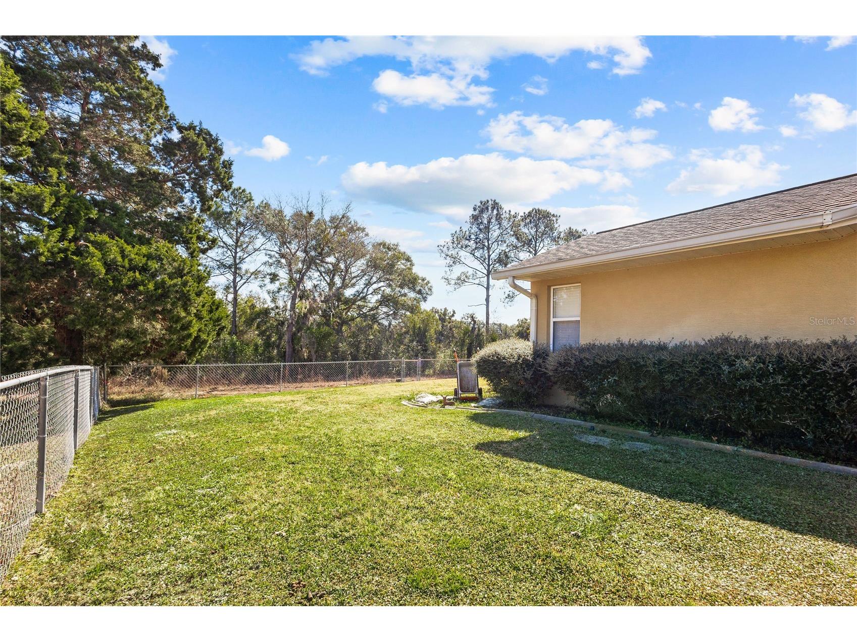 771 NE 152nd Terrace Williston FL 32696 OM717269 image5