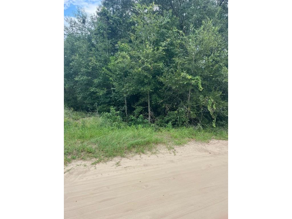 771 NW 57 Th Avenue Ocala FL 34482 S5133198 image2