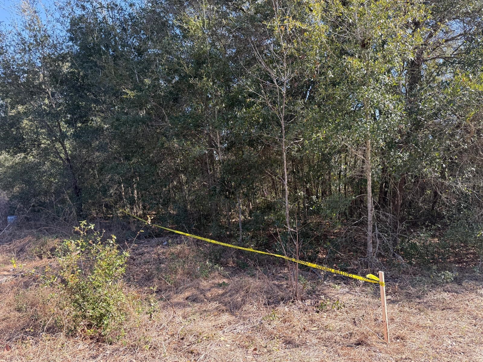 771 NW 57 Th Avenue Ocala FL 34482 S5133198 image9