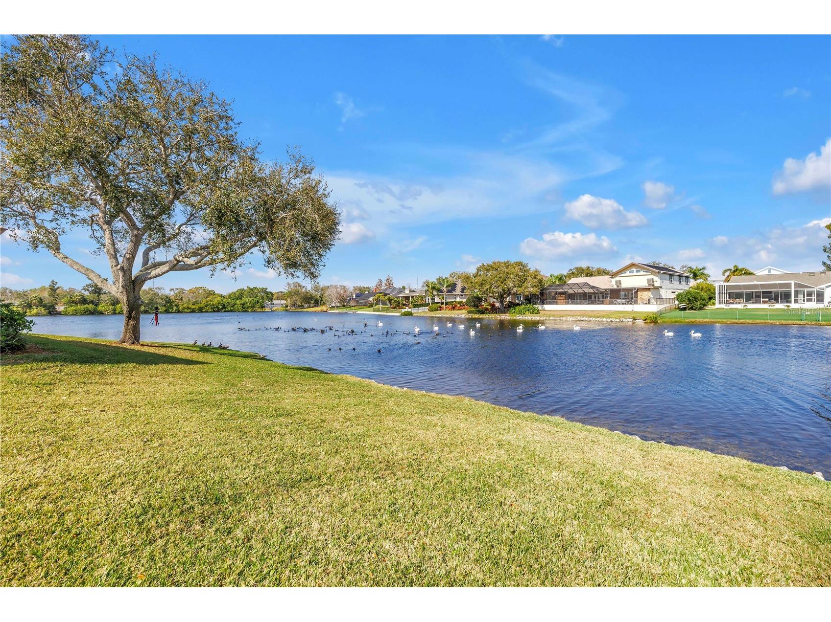 771 Suwannee Court NE Saint Petersburg FL 33702 TB8475160 image11