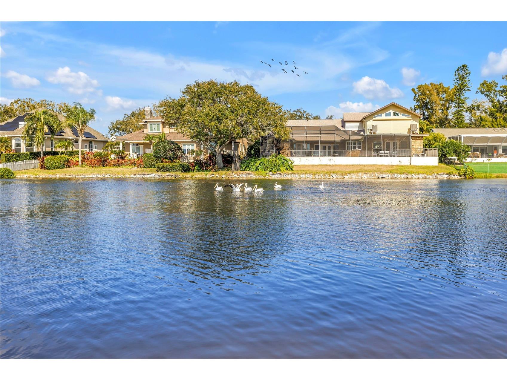 771 Suwannee Court NE Saint Petersburg FL 33702 TB8475160 image17