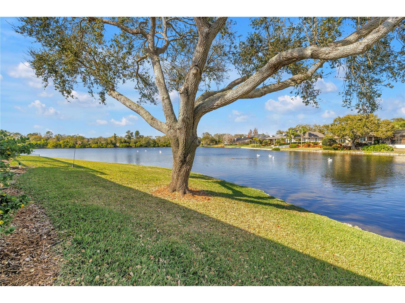 771 Suwannee Court NE Saint Petersburg FL 33702 TB8475160 image19