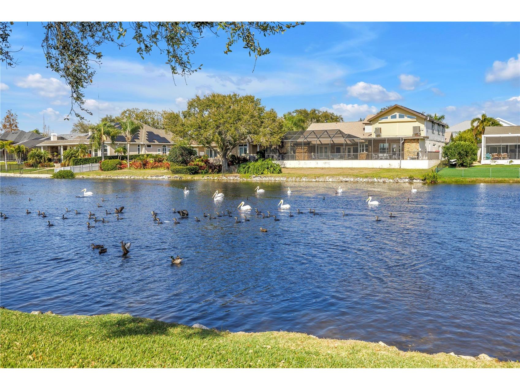 771 Suwannee Court NE Saint Petersburg FL 33702 TB8475160 image8