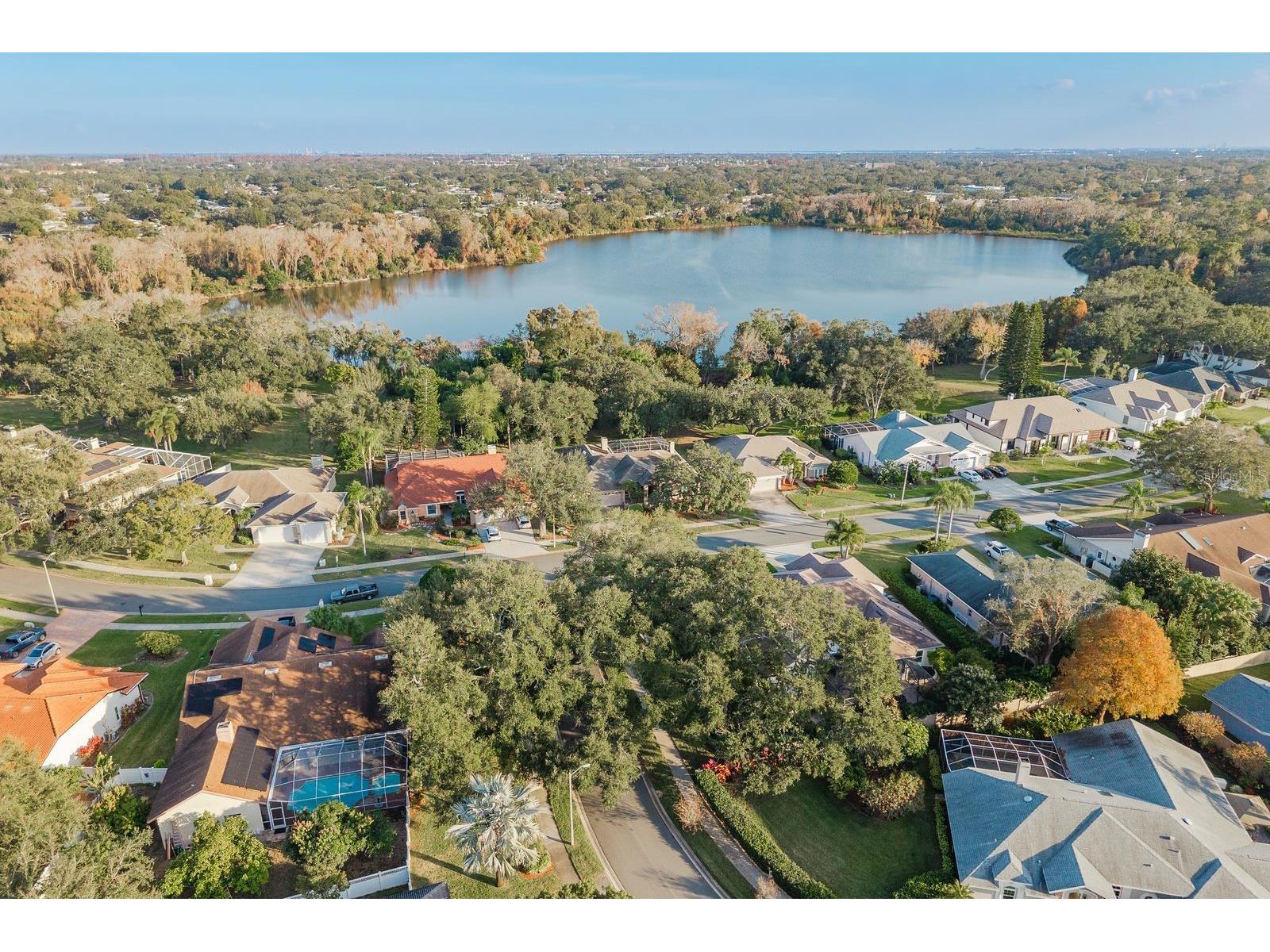 771 Weathersfield Drive Dunedin FL 34698 TB8478005 image46