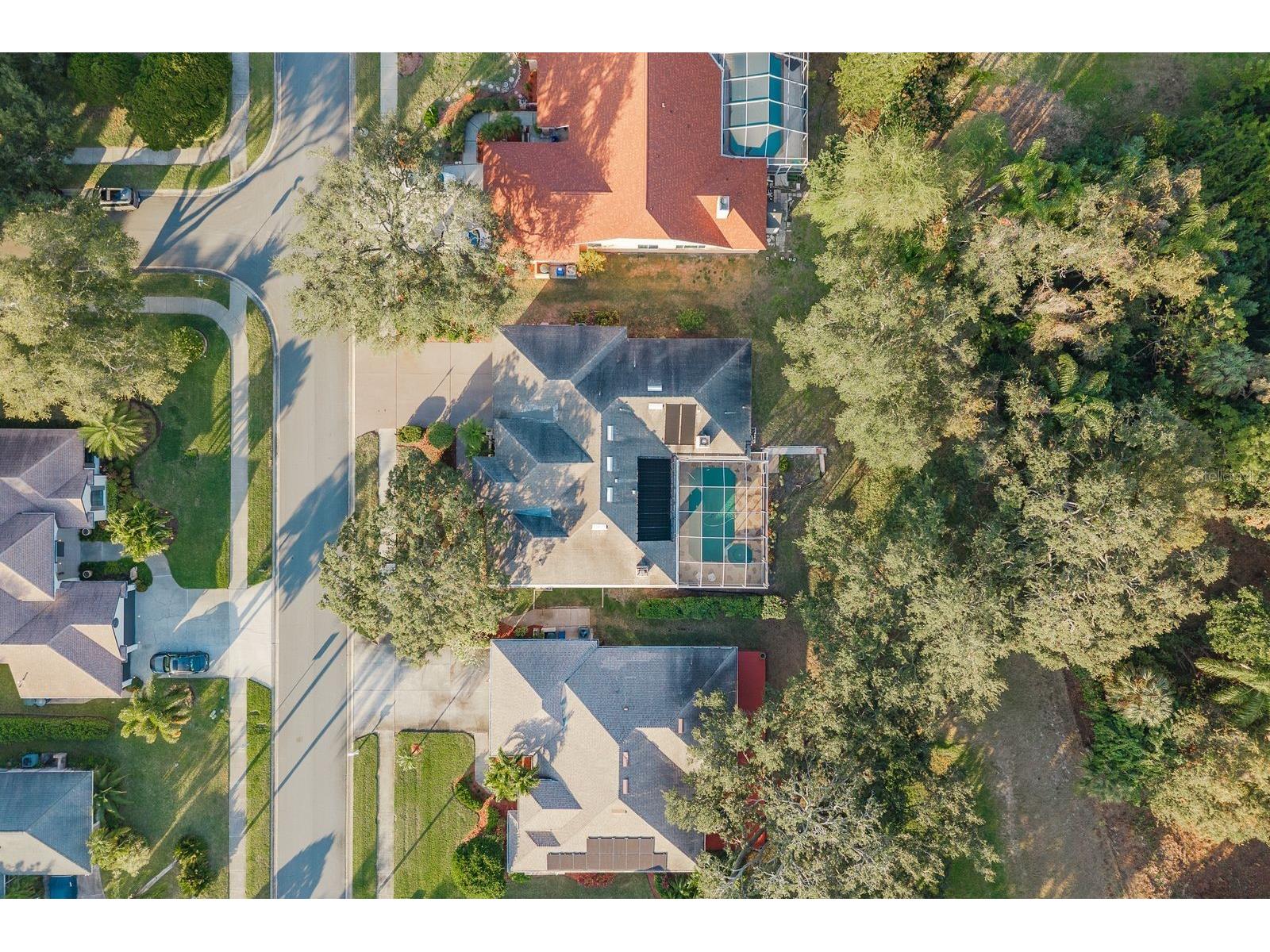 771 Weathersfield Drive Dunedin FL 34698 TB8478005 image47