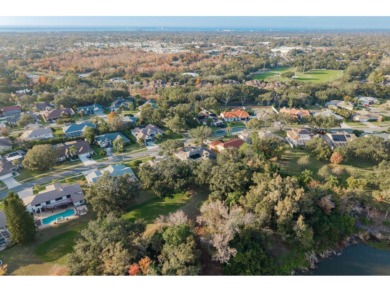 771 Weathersfield Drive Dunedin FL 34698 TB8478005 image48