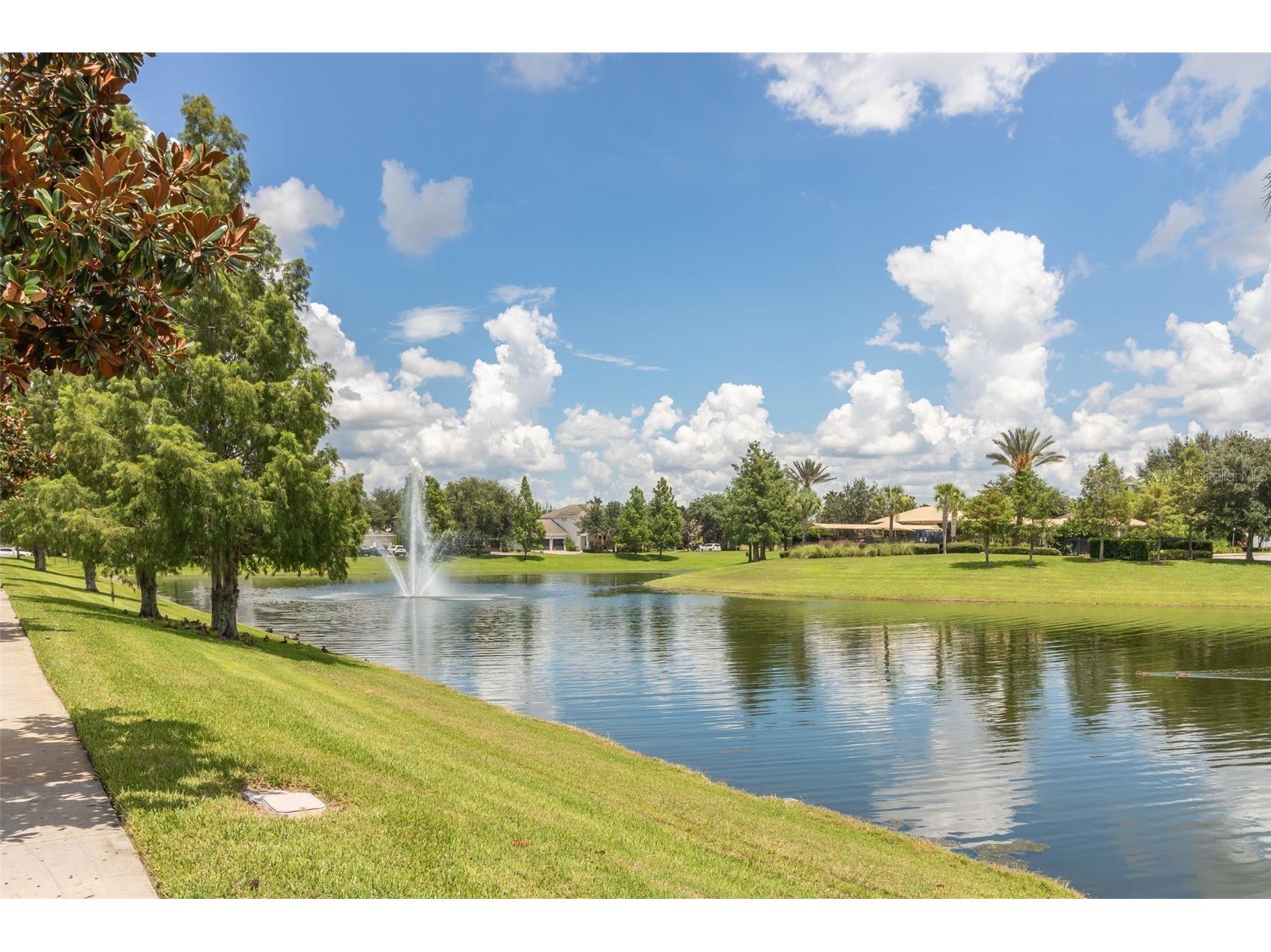 7710 Fairgrove Avenue Windermere FL 34786 S5148820 image50