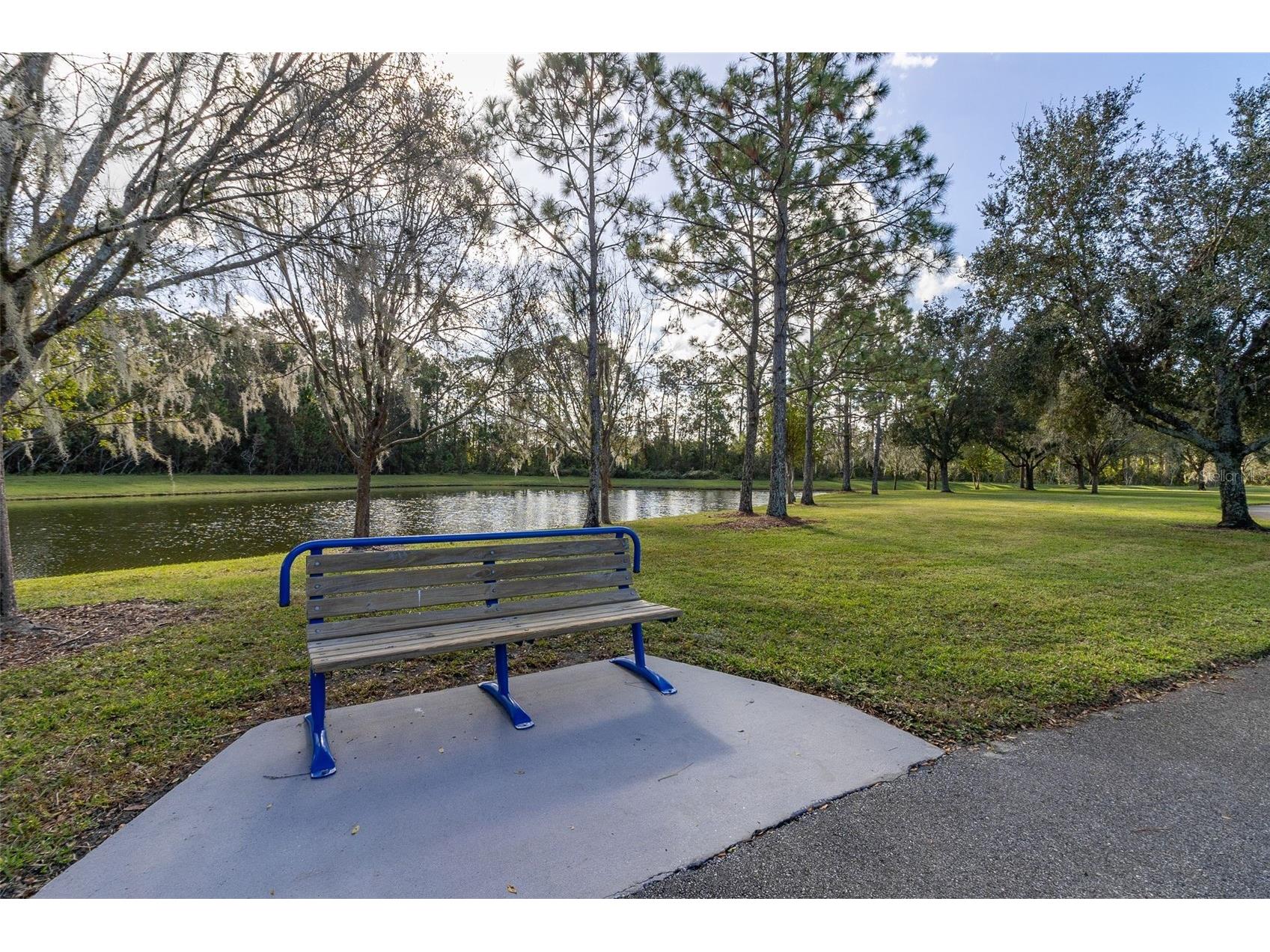 7710 Fairgrove Avenue Windermere FL 34786 S5148820 image52
