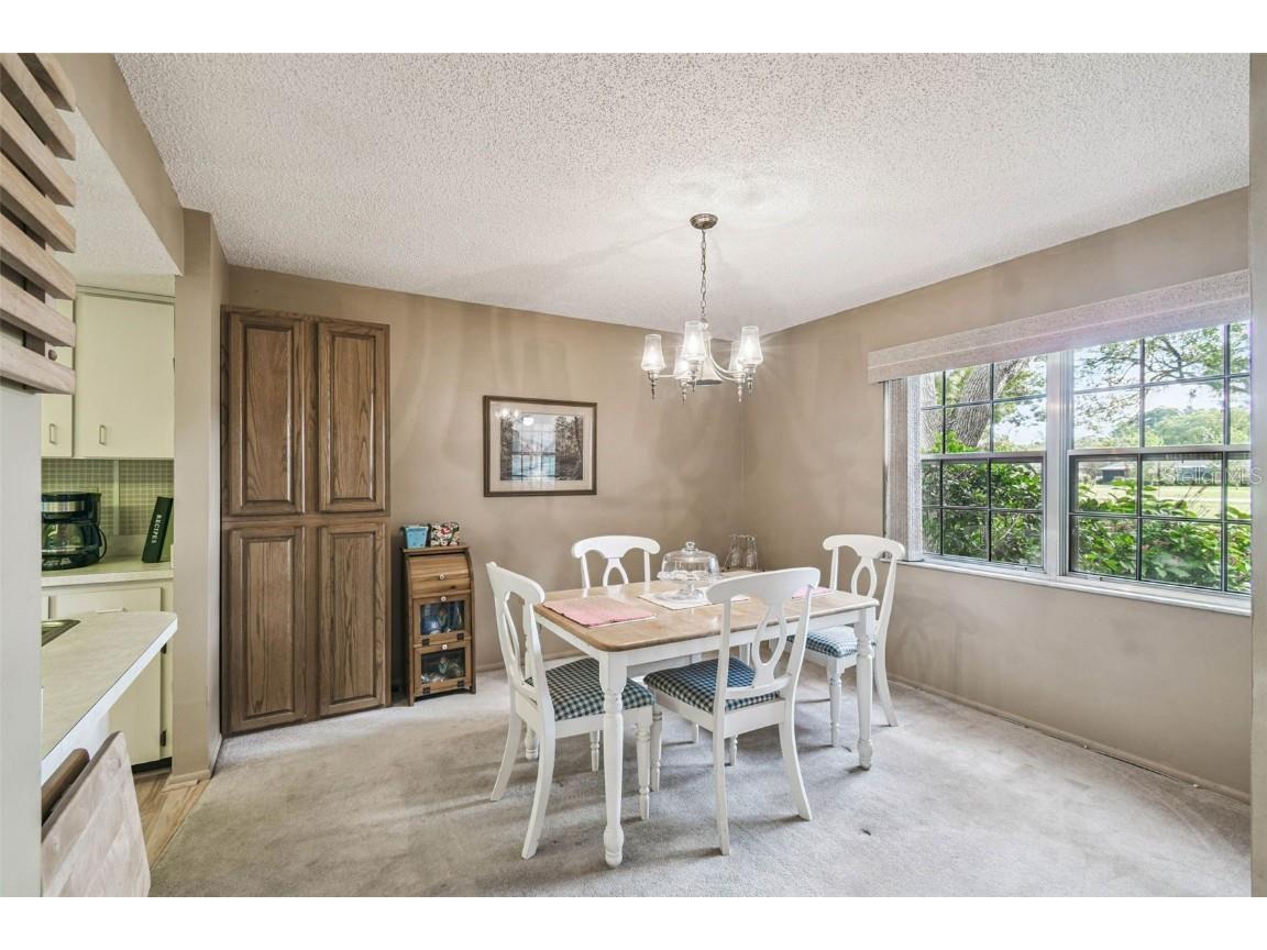 7710 Fairlawn Drive Hudson FL 34667 TB8442033 image16