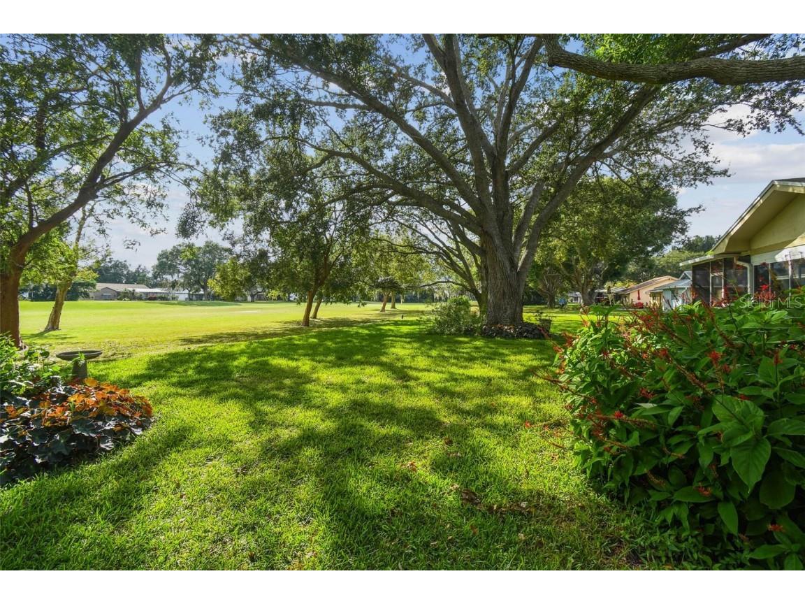 7710 Fairlawn Drive Hudson FL 34667 TB8442033 image39