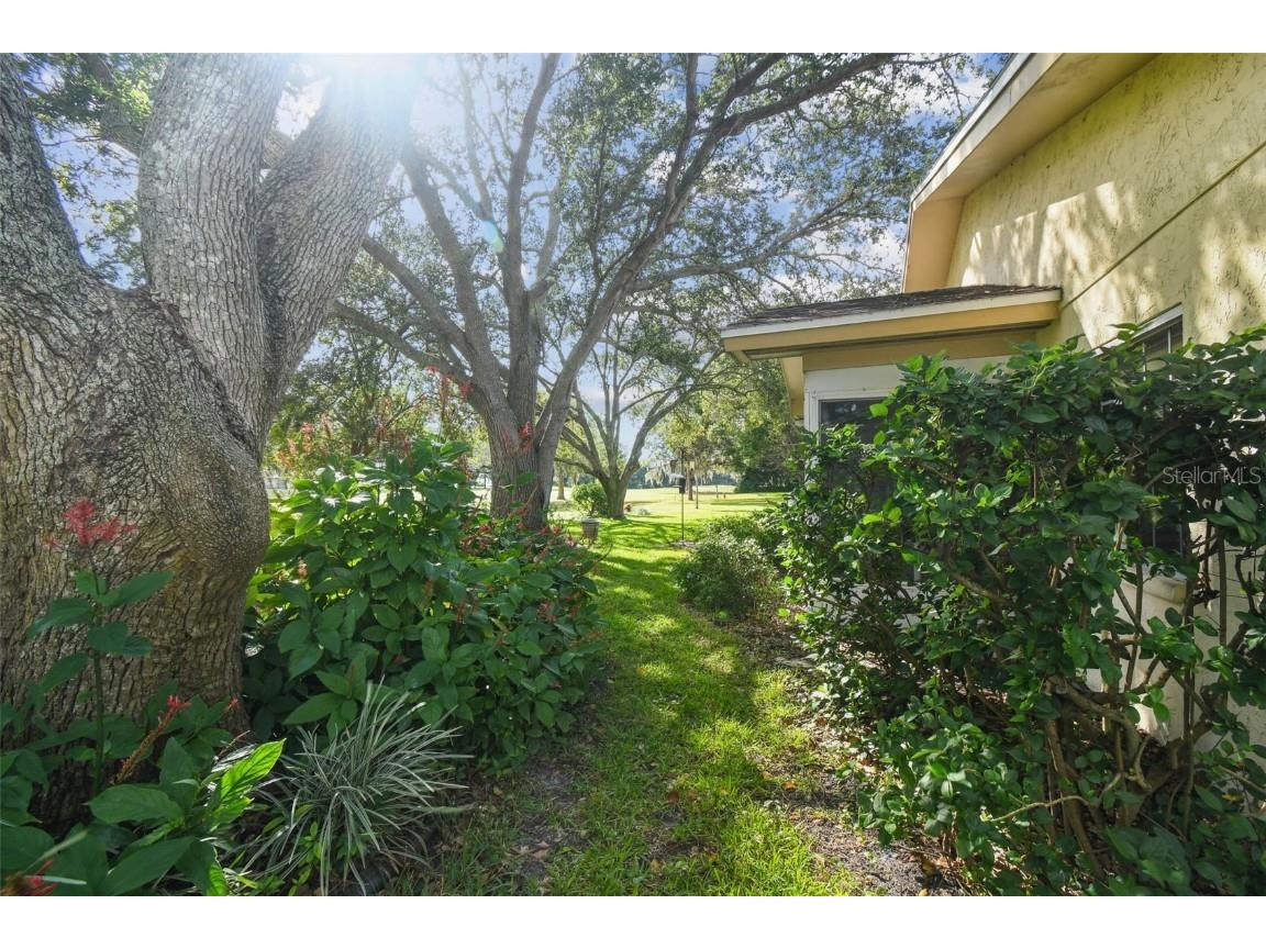 7710 Fairlawn Drive Hudson FL 34667 TB8442033 image40