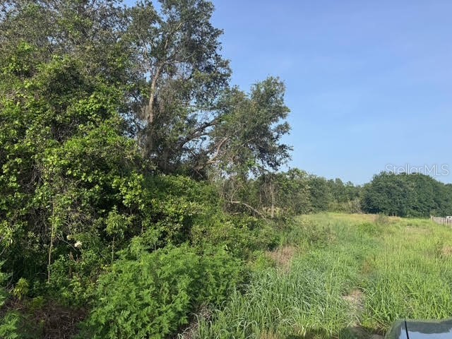 7710 N Lake Buffum Road Fort Meade FL 33841 K4902953 image2