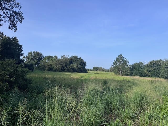 7710 N Lake Buffum Road Fort Meade FL 33841 K4902953 image3