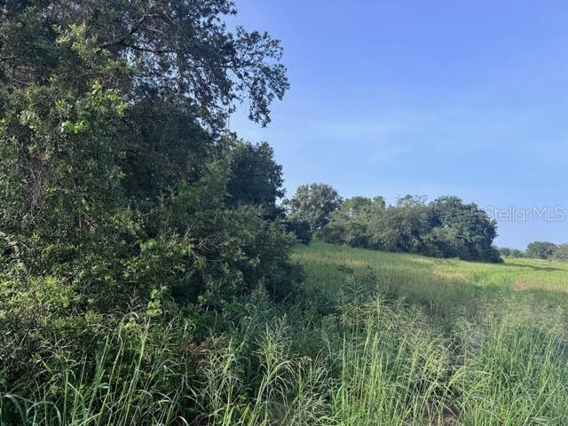 7710 N Lake Buffum Road Fort Meade FL 33841 K4902953 image4