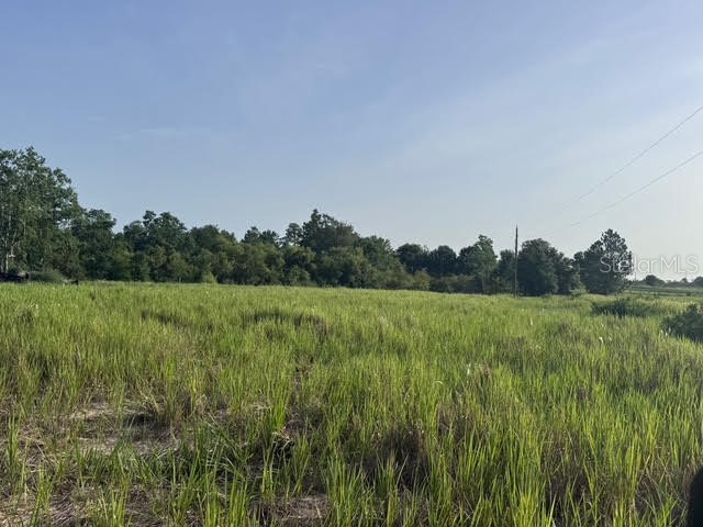 7710 N Lake Buffum Road Fort Meade FL 33841 K4902953 image5