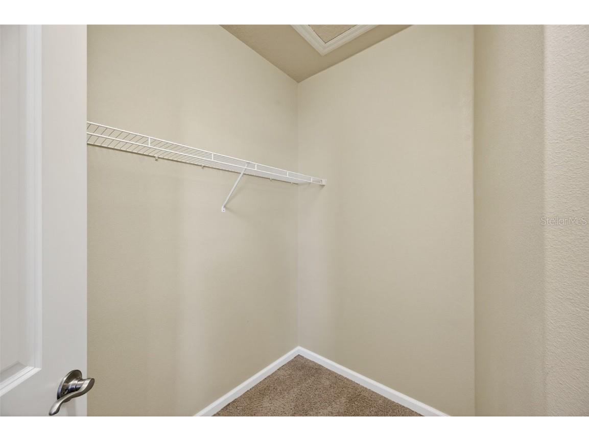 7710 Tuscany Woods Drive Tampa FL 33647 TB8441472 image50