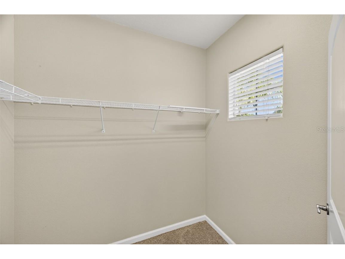 7710 Tuscany Woods Drive Tampa FL 33647 TB8441472 image53