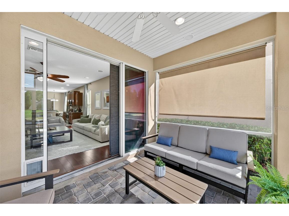 7710 Tuscany Woods Drive Tampa FL 33647 TB8441472 image56