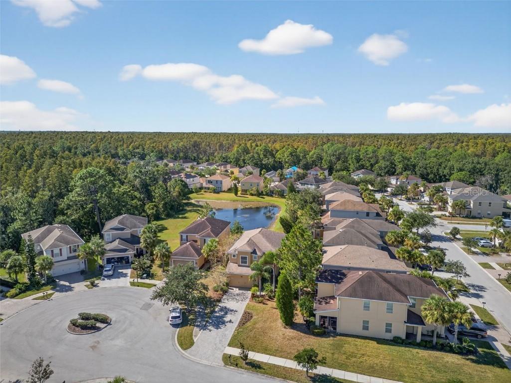 7710 Tuscany Woods Drive Tampa FL 33647 TB8441472 image69